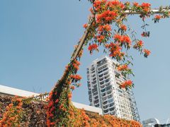 -沙坡尾艺术西区
