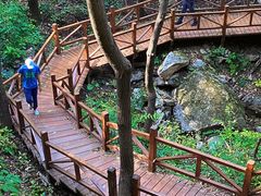 -大岭沟猕猴桃谷风景区