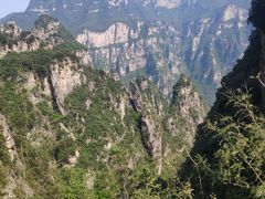 -神农山景区