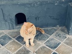 -平安桥天主教堂