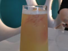 -飞行喵MR PILOT|猫舍·猫咖(静安大融城店)