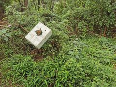 -青龙山国家森林公园