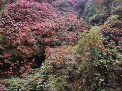 -龙门涧景区
