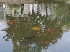 -西北湖绿化广场