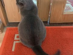 -壹人壹像工作室(购物公园店)