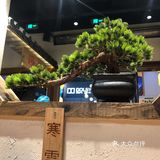 结果门庭若市座无虚席的就感觉自己没来错店
