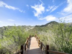 -大岭沟猕猴桃谷风景区