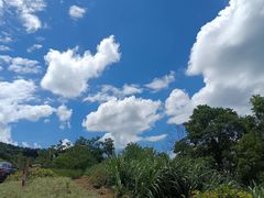 -广州市石门国家森林公园