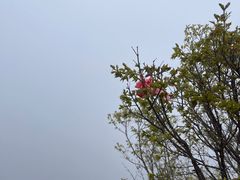 -妙峰山风景名胜区