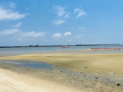 -北海金海湾红树林生态旅游区