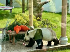 -无锡动物园·太湖欢乐园