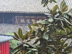 -峨眉山报国寺