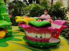 -南宫五洲植物乐园