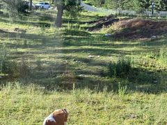 -喀纳斯鸿福生态度假酒店