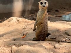 -鄂尔多斯野生动物园