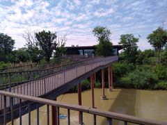 -白鹭湾湿地公园