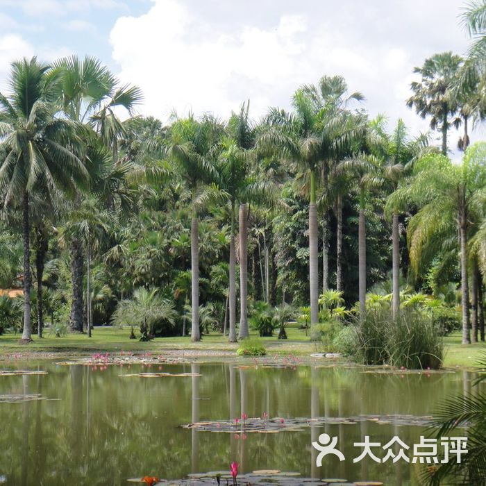 中國科學院西雙版納熱帶植物園景點圖片-北京植物園-大眾點評網