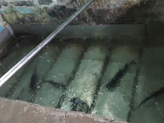 -姥家大锅台水库渔家