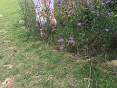 -艾溪湖湿地公园