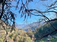 -石台牯牛降景区