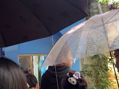 -殷姐糯米包油条