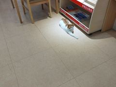 -首开寸草亚运村养老院