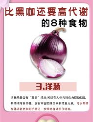 -Fundi张玉珊修身堂·indiba·BTL科技瘦身