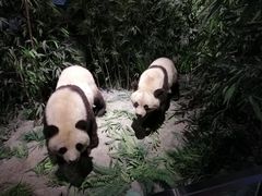 -长江文明馆