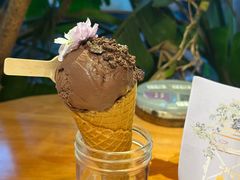 -野草莓自由市场
