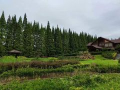 -金岛生态园烧烤露营地