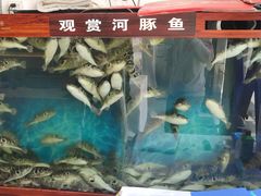 -肆月河豚·新淮扬(金融街店)