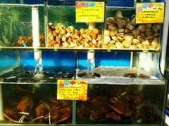 -蚝专家(北滘店)