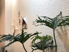 -ABCD咖啡屋(妇幼店)