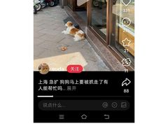 -老大昌(淮海中路店)