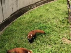 -青藏高原野生动物园