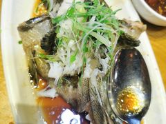 清蒸老虎斑-南海渔家•海鲜•正宗海南菜(海棠湾店)