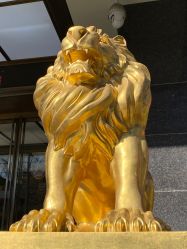 -中国黄金(北京旗舰店)