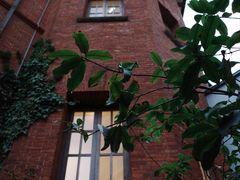 -Ocean's Table 欧舍