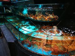 -金翠皇宫粤菜·点心·海鲜(科技园店)