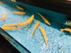 -西贝海鲜汇(槐安路店)