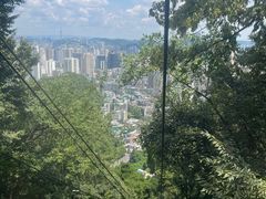 -黔灵山公园