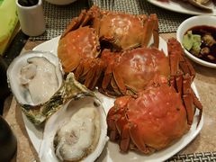 -怡聚轩全日制自助餐厅(大中华喜来登酒店)