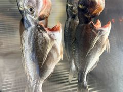 -小火花·干式熟成牛排馆Spark SteakHouse(剑桥郡店)