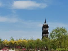 -西海子公园