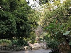 -晓港公园
