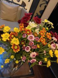 -京世沙龙