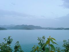 -望湖烤鱼