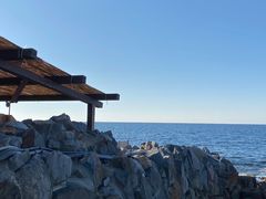 -海鮮寿司とれとれ市場