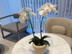 -琴美美容美发·三美会所