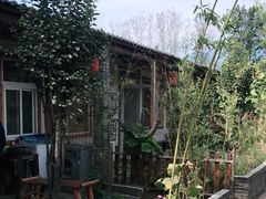 -1982农场